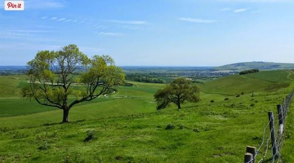 The South Downs Steyning Malcolm Oakley